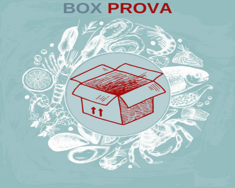 Box Prova
