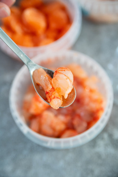 Tartare di Gambero Rosso Mediterraneo