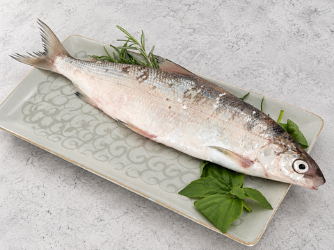Lavarello pescato