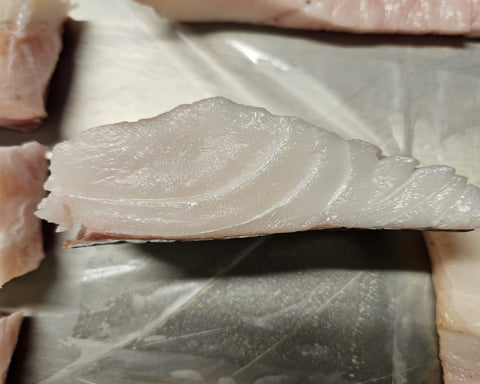 Filetto di Morone (Ricciola di Fondale) Mediterraneo