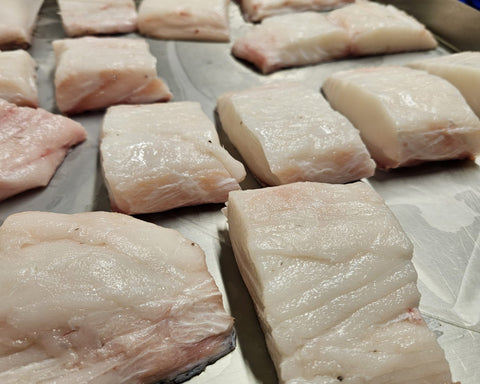 Filetto di Morone (Ricciola di Fondale) Mediterraneo