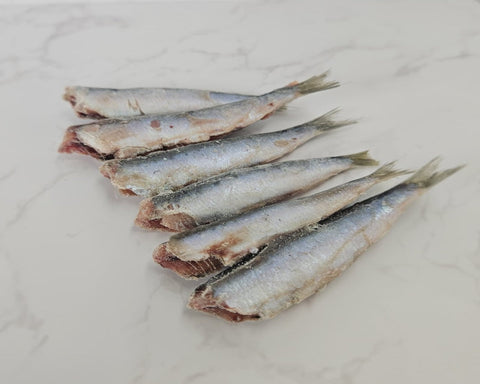 Sardine del Mediterraneo eviscerate e decapitate